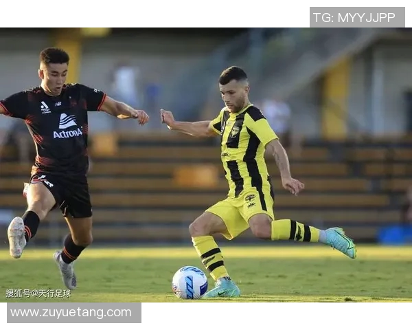 布里班狮吼与凤凰的激烈对决揭示澳超联赛的精彩与悬念