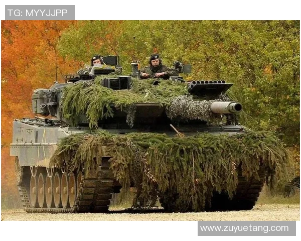 布拉迪斯迎战狼队双方全力争胜精彩对决即将上演 布拉迪斯迎战狼队双方全力争胜精彩对决即将上演