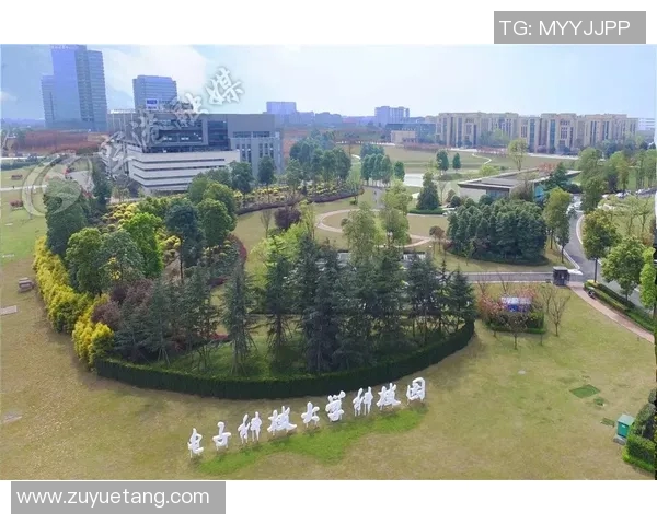 程帅澎:从青年才俊到行业领军人物的成长之路与未来展望 程帅澎:从青年才俊到行业领军人物的成长之路与未来展望