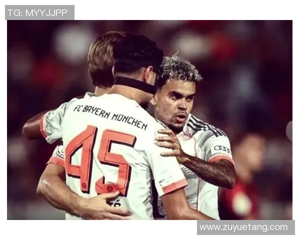 德国杯精彩对决韦恩挑战汉堡争夺晋级机会